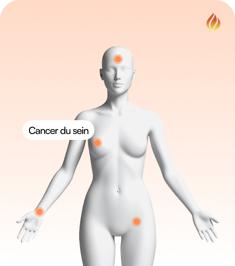 Clarys Body - visualisation anatomique structurée des problèmes cliniques